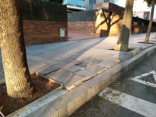 Treure els arbres i fer una vorera nova al carrer Prolongació Falguera, en el tram que va entre el carrer Sant Josep i el carrer Barcelona